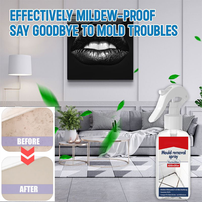 All-purpose Mildew Removal Spray（Buy 2 Get 1 Free）-7